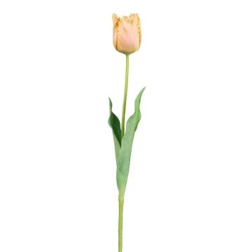 Flor artificial tulipán SOLAL, albaricoque, 65 cm