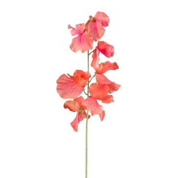 Flor artificial Lathyrus latifolius TERRAT, salmón, 50 cm