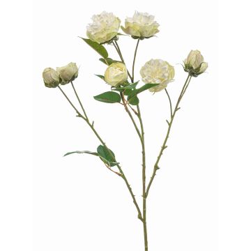 Rama artificial de col rosa TRUVOL, blanco-verde, 65 cm