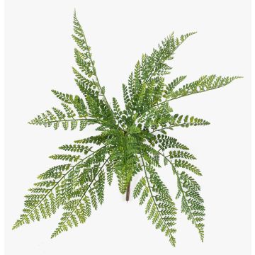 Planta artificial helecho culantrillo STIGOR en varilla, crossdoor, verde, 55 cm