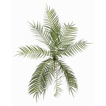 Planta artificial helecho espada MOGRAL en varilla, crossdoor, verde, 70 cm Planta artificial helecho espada MOGRAL en varilla, crossdoor, verde, 70 cm