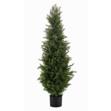 Cedro artificial ZARGEN, crossdoor, verde, 120 cm