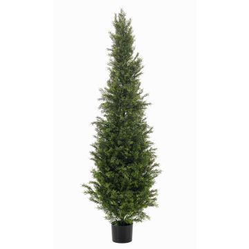 Cedro artificial ZARGEN, crossdoor, verde, 150 cm