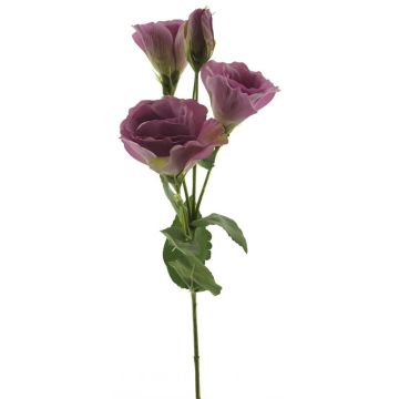 Lisianthus artificial ALARONA, malva, 55 cm