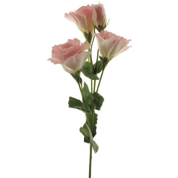 Lisianthus falso ALARONA, rosa crema, 55 cm