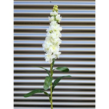 Flor artificial Levkoje BARIADE, blanco crema, 85 cm Flor artificial Levkoje BARIADE, blanco crema, 85 cm