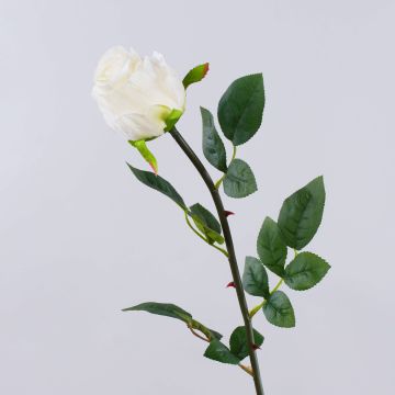 Rosa artificial SUNJIK, color crema, 75 cm Rosa artificial SUNJIK, color crema, 75 cm