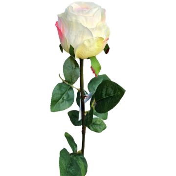 Rosa artificial SUNJIK, color crema-rosa, 75 cm