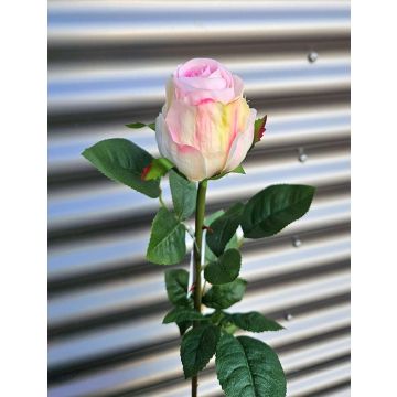 Rosa artificial SUNJIK, color rosa-crema, 75 cm