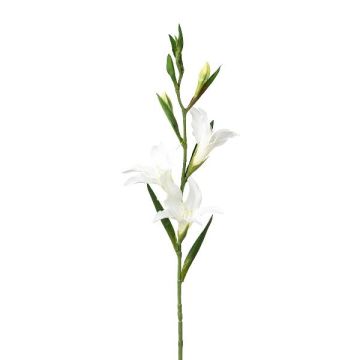 Flor artificial gladiolo LUNDYL, blanco, 70 cm