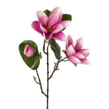Rama de flores artificiales de magnolia PLORNE, rosa, 70 cm