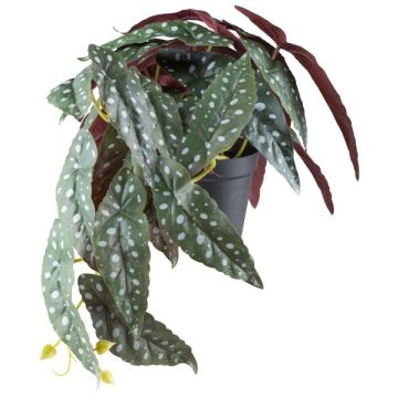 Planta artificial Begonia SNARHE, maceta decorativa, colgante, verde-blanca, 24 cm