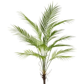 Planta artificial palmera Areca WUBRI con varilla, raíces aéreas, 95 cm Planta artificial palmera Areca WUBRI con varilla, raíces aéreas, 95 cm