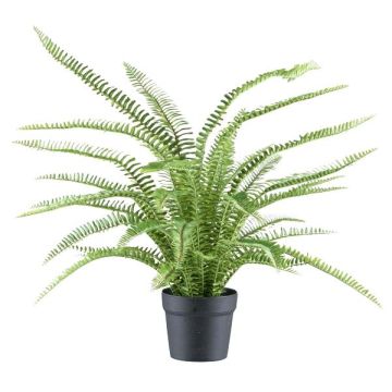 Planta decorativa helecho espada ZINTO, maceta decorativa, verde, 70 cm