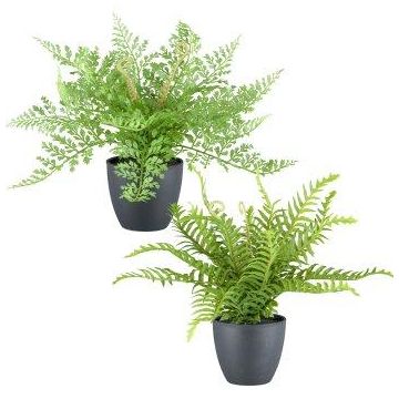 Mezcla de helechos artificiales REFIL, helecho espada, helecho culantrillo, 2 unidades, maceta decorativa, verde, 25 cm Mezcla de helechos artificiales REFIL, helecho espada, helecho culantrillo, 2 unidades, maceta decorativa, verde, 25 cm