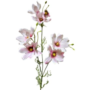 Rama decorativa con cestas de la palma HISSAN, rosa claro, 75 cm Rama decorativa con cestas de la palma HISSAN, rosa claro, 75 cm