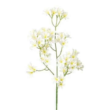 Rama decorativa de flor de manzano YORBEN con flores, blanca, 60 cm
