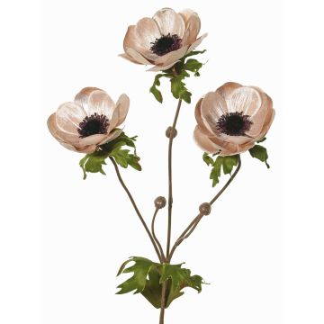 Rama de anémona de terciopelo WINFAS, rosa pálido, 75cm, Ø9-11cm Rama de anémona de terciopelo WINFAS, rosa pálido, 75cm, Ø9-11cm