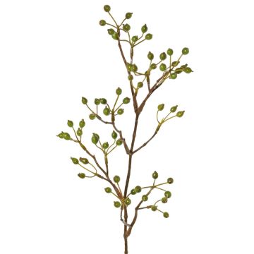 Rama decorativa de rosa silvestre HIKERNO con escaramujos, verde, 60 cm