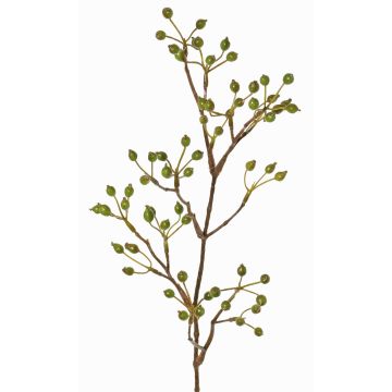 Rama decorativa de rosa silvestre HIKERNO con escaramujos, verde, 60cm Rama decorativa de rosa silvestre HIKERNO con escaramujos, verde, 60cm