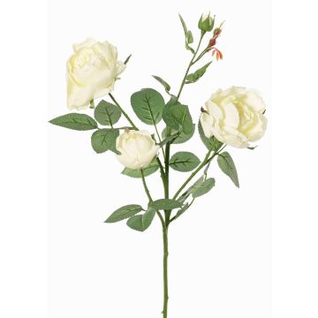 Rama de rosa artificial DIAMANTIS, crema, 70cm, Ø5-8cm
