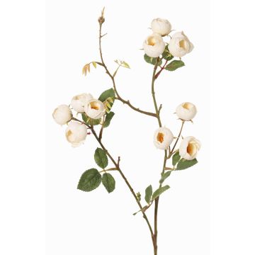 Rama artificial de col rosa LORRAINE, Eco Collection, crema-amarillo, 60cm, Ø3cm Rama artificial de col rosa LORRAINE, Eco Collection, crema-amarillo, 60cm, Ø3cm