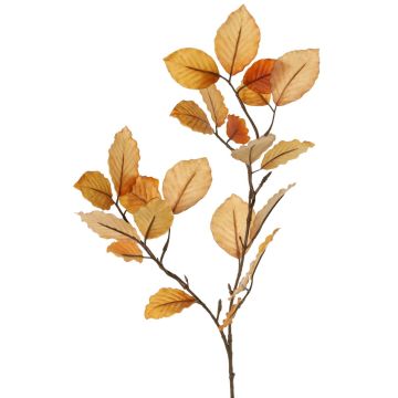 Rama decorativa de haya LOPERDY, marrón claro, 70cm
