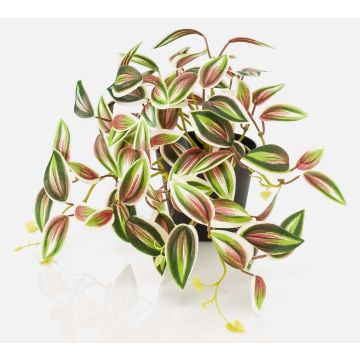 Planta artificial Tradescantia zebrina DIHALLO en maceta decorativa, verde-roja, 19 cm