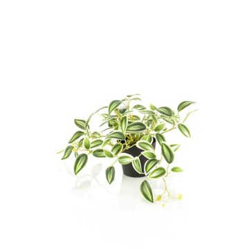 Planta artificial Tradescantia zebrina DIHALLU en maceta decorativa, verde-blanca, 19 cm