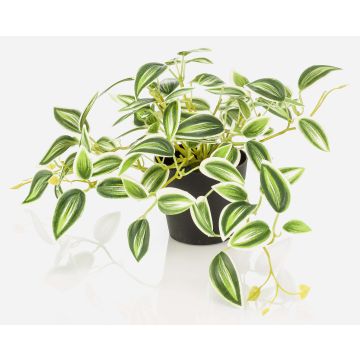 Planta artificial Tradescantia zebrina DIHALLO en maceta decorativa, verde-blanca, 19 cm