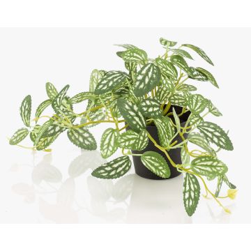 Planta artificial de pimienta enana MIHALLA en maceta decorativa, verde y blanca, 19 cm