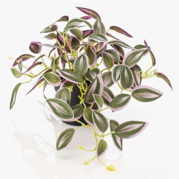 Planta artificial Tradescantia zebrina DIHALLO en maceta decorativa, verde-lila, 19 cm
