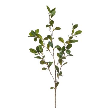 Rama decorativa espino cerval LOVRIS con flores, verde-amarillo, 90 cm