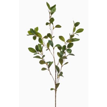 Rama decorativa espino cerval LOVRIS con flores, verde-amarillo, 90 cm