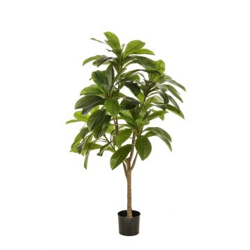 Árbol artificial frangipani MORSHA, tronco artificial, verde, 145 cm