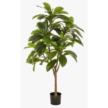 Árbol artificial frangipani MORSHA, tronco artificial, verde, 145 cm