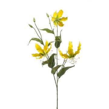 Rama decorativa Gloriosa TROFEL, amarillo-verde, 90 cm
