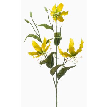 Rama decorativa Gloriosa TROFEL, amarillo-verde, 90 cm