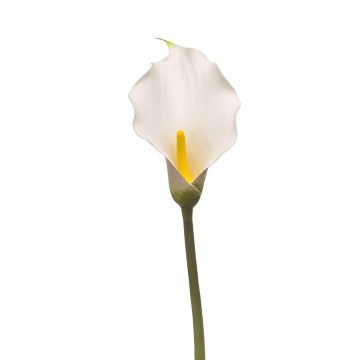 Calla artificial KIVARP, blanca, 85 cm