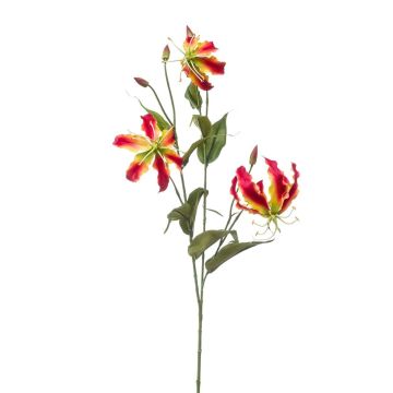 Rama decorativa Gloriosa TROFEL, rosa-amarilla, 90 cm