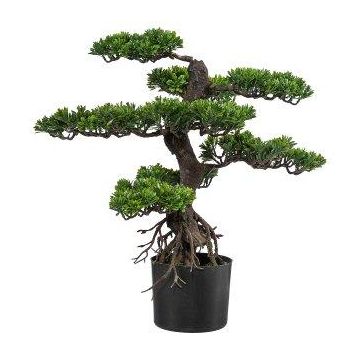 Árbol artificial bonsái de té KEFIEL con raíces, 75 cm