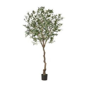 Olivo artificial WILDO, tronco artificial, frutos, 240 cm