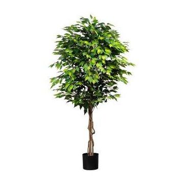 Árbol artificial ficus benjamini ARNOMO, troncos naturales, 180 cm