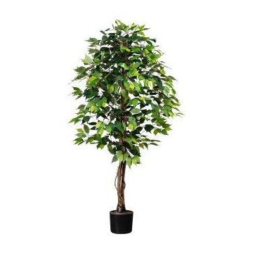 Árbol decorativo ficus benjamini ONIN, troncos naturales, 150 cm