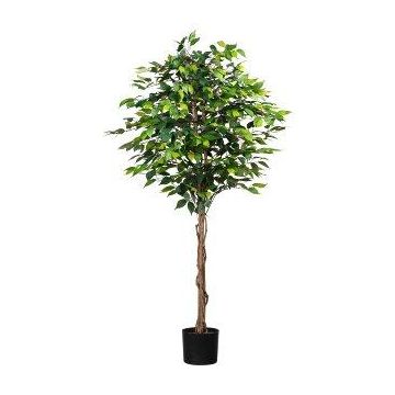 Árbol decorativo ficus benjamini ONIN, troncos naturales, 180 cm
