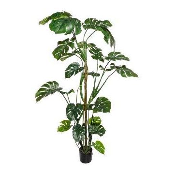 Filodendro artificial Monstera Deliciosa EIDERA, raíces aéreas, 180 cm