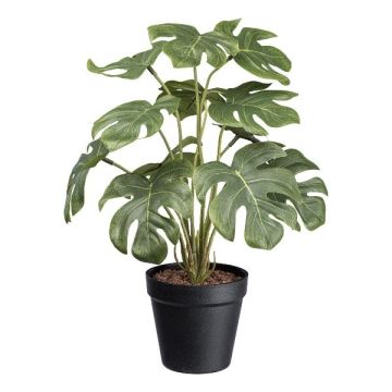 Filodendro Monstera Deliciosa TOCON artificial en maceta decorativa, 40 cm Filodendro Monstera Deliciosa TOCON artificial en maceta decorativa, 40 cm