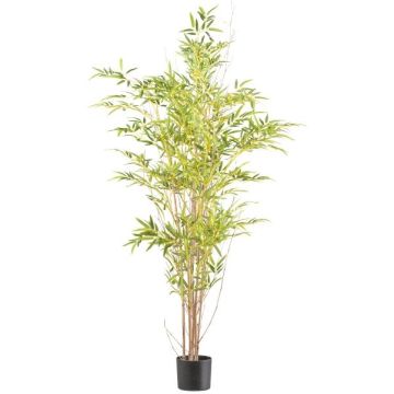Árbol artificial Bambú japonés EDENA, troncos naturales, 150 cm
