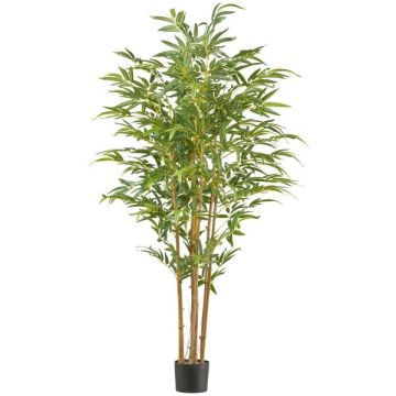 Árbol artificial Bambú japonés IRTWA, troncos naturales, crossdoor, 180 cm