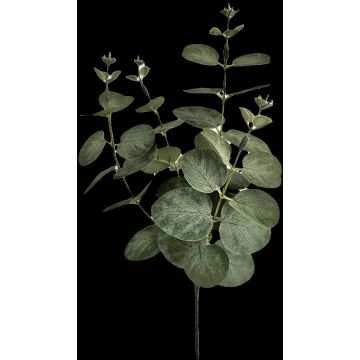 Rama artificial de eucalipto ERINDALS, verde-gris, 60 cm